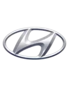 Hyundai Chevron Kits